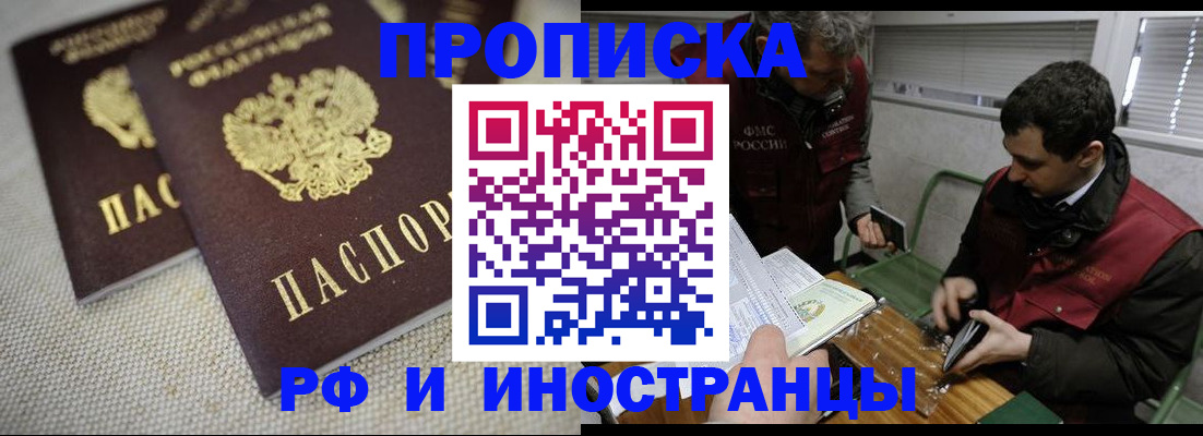 прописка для школы в Звенигово